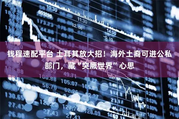 钱程速配平台 土耳其放大招！海外土裔可进公私部门，藏“突厥世界”心思