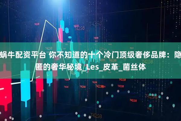 蜗牛配资平台 你不知道的十个冷门顶级奢侈品牌:隐匿的奢华秘境_Les_皮革_菌丝体