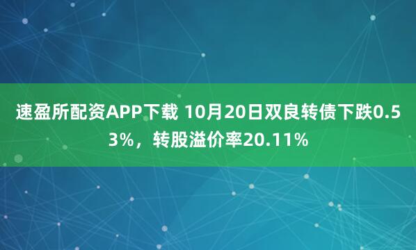 速盈所配资APP下载 10月20日双良转债下跌0.53%,转股溢价率20.11%